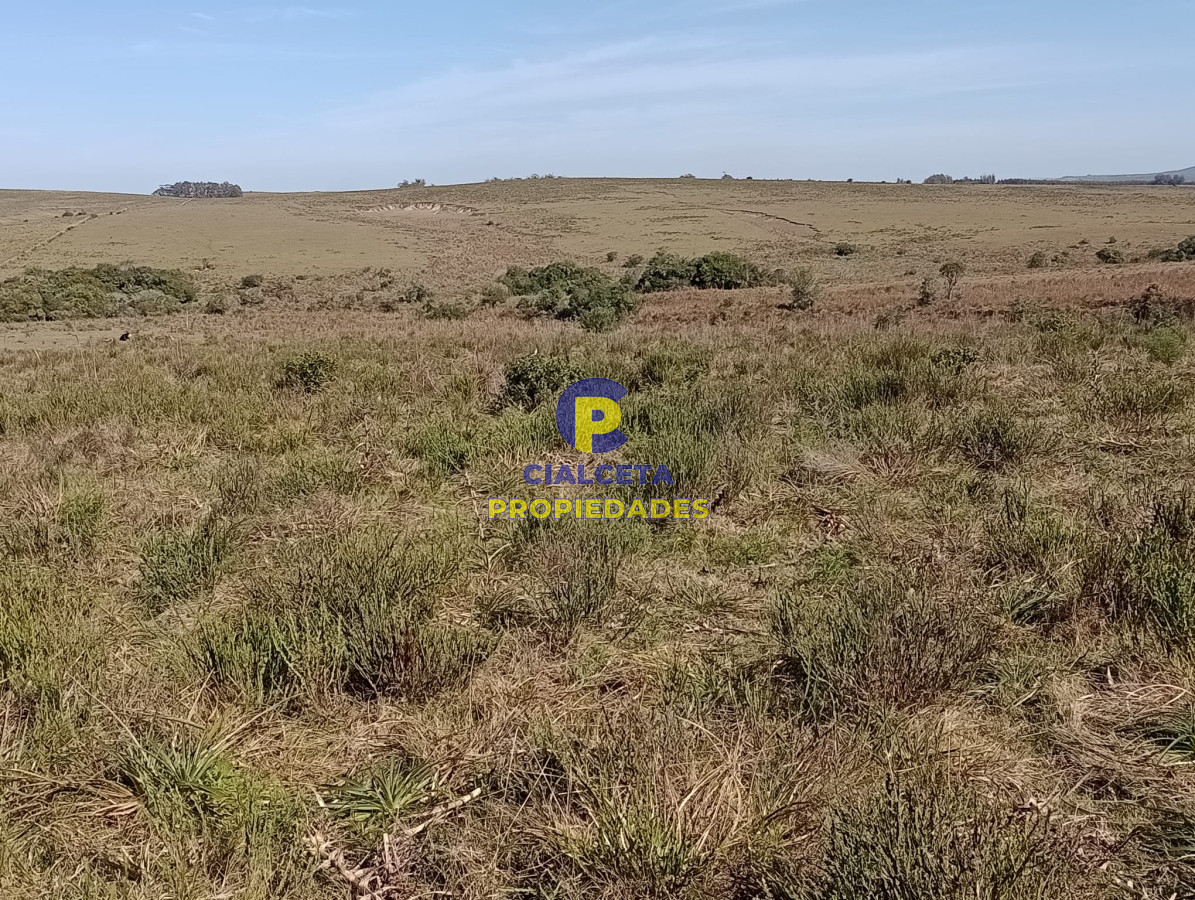 Campo Ref.381 - 315 hectáreas en Rocha