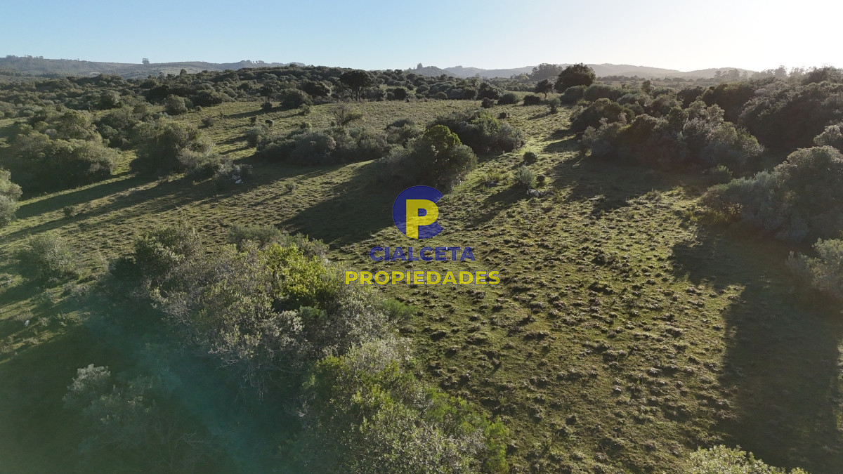 28 hectáreas con cañada y monte nativo, Maldonado - GoPunta - Portal Inmobiliario de Punta del Este - Maldonado