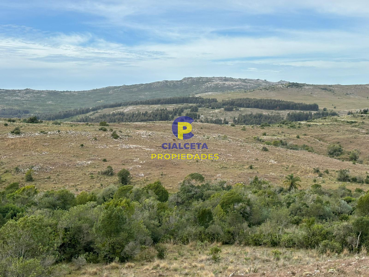 200 hectáreas con muy buena vista - GoPunta - Portal Inmobiliario de Punta del Este - Maldonado
