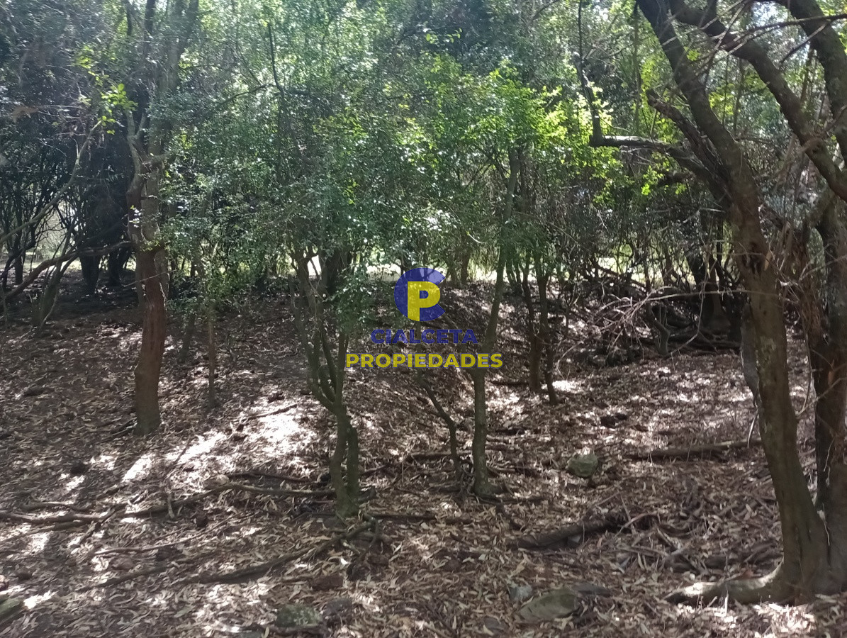 Campo Ref.79 - 170 hectáreas en lavalleja