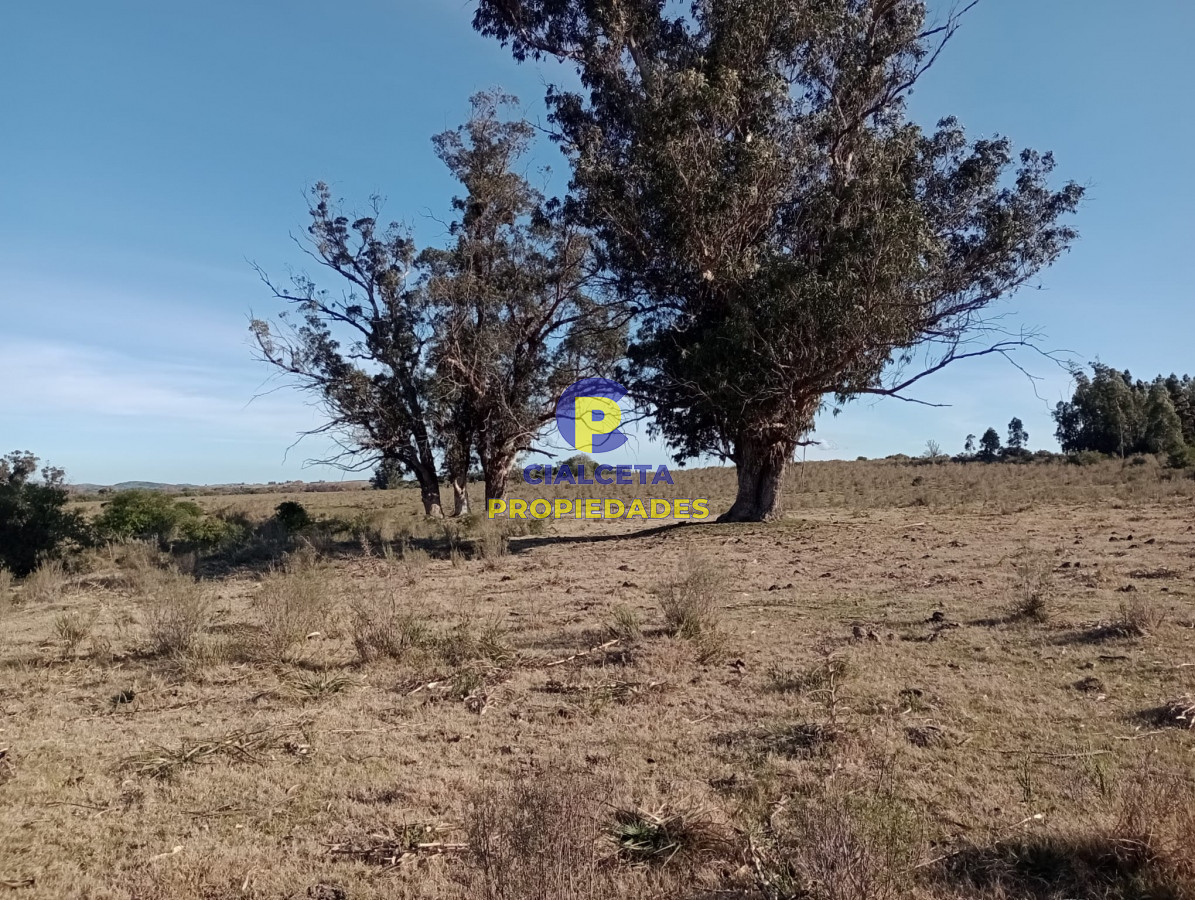 82 hectáreas en Pueblo Edén - GoPunta - Portal Inmobiliario de Punta del Este - Maldonado