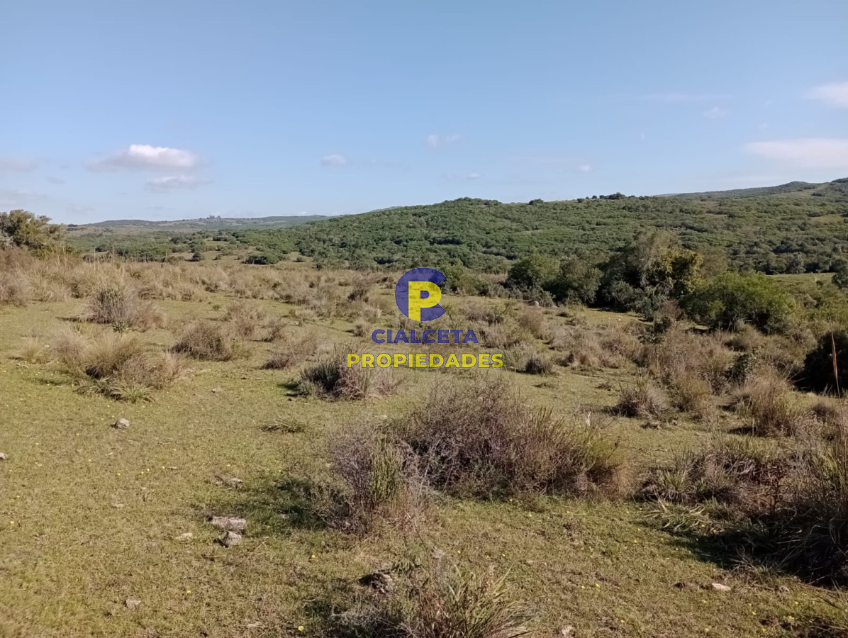 Campo Ref.228 - 39 hectáreas en Maldonado