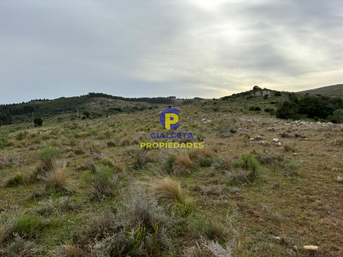 Campo Ref.441 - 200 hectáreas con muy buena vista