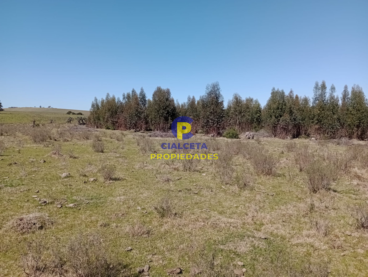 Campo Ref.307 - 16 hectáreas en Maldonado