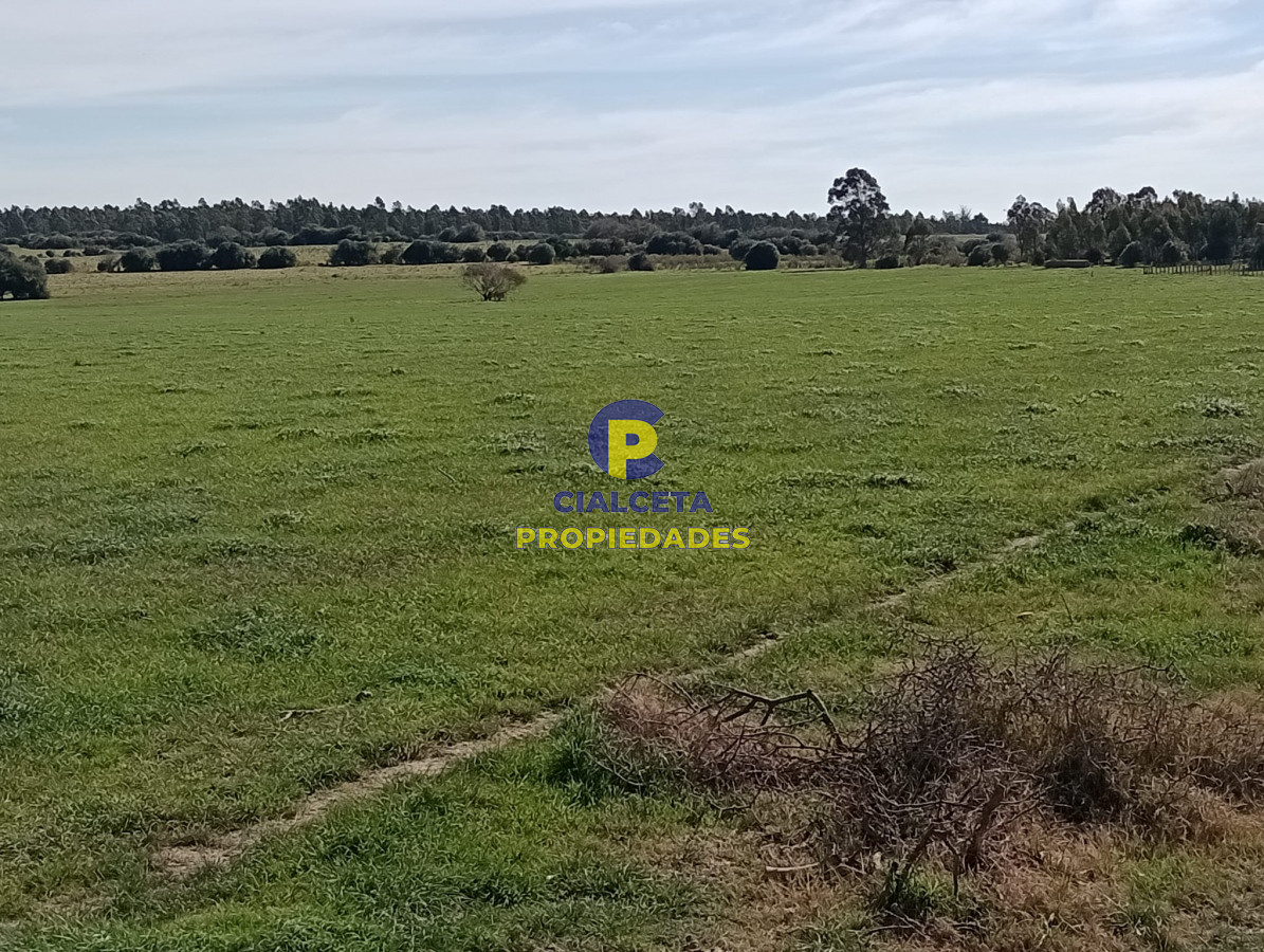 Campo Ref.288 - 5 hectáreas en Maldonado