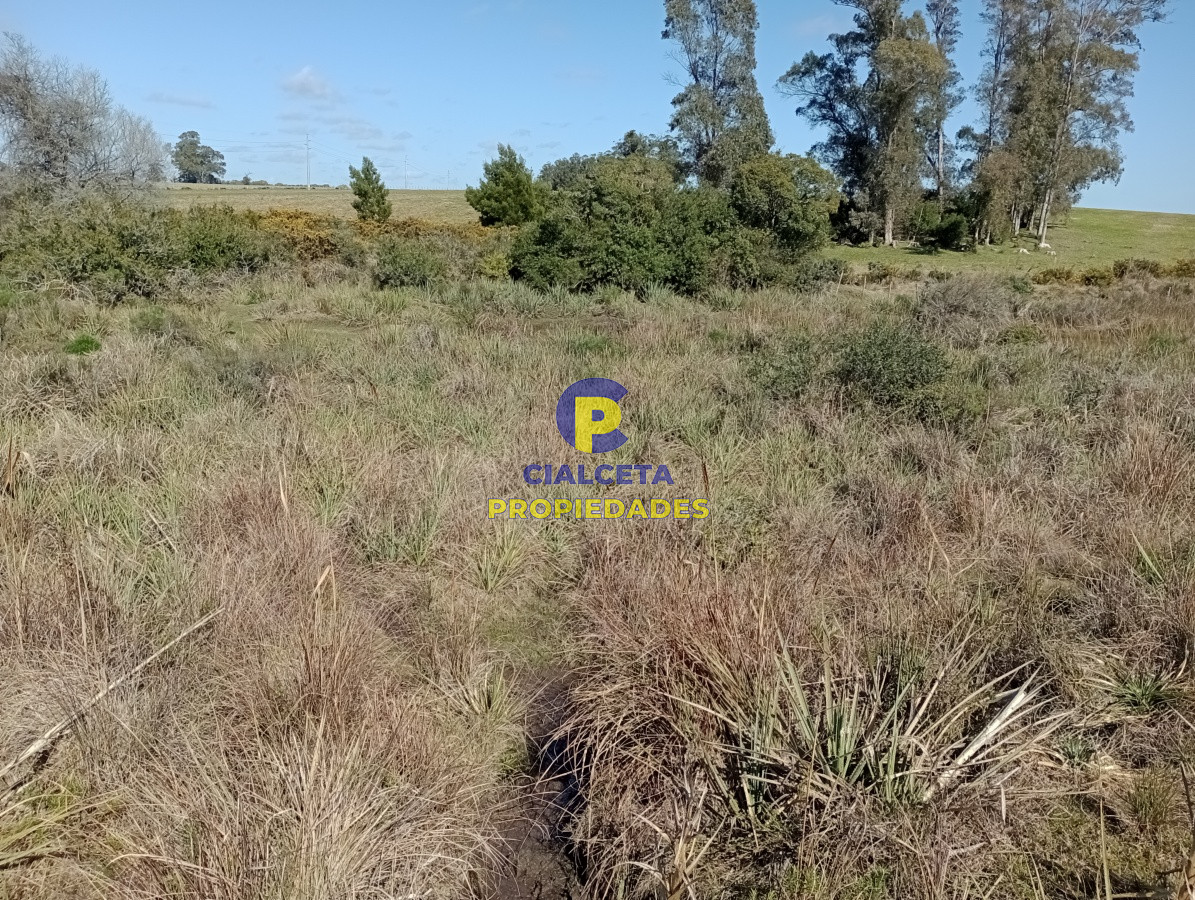 Campo Ref.98 - 125 hectáreas en Rocha