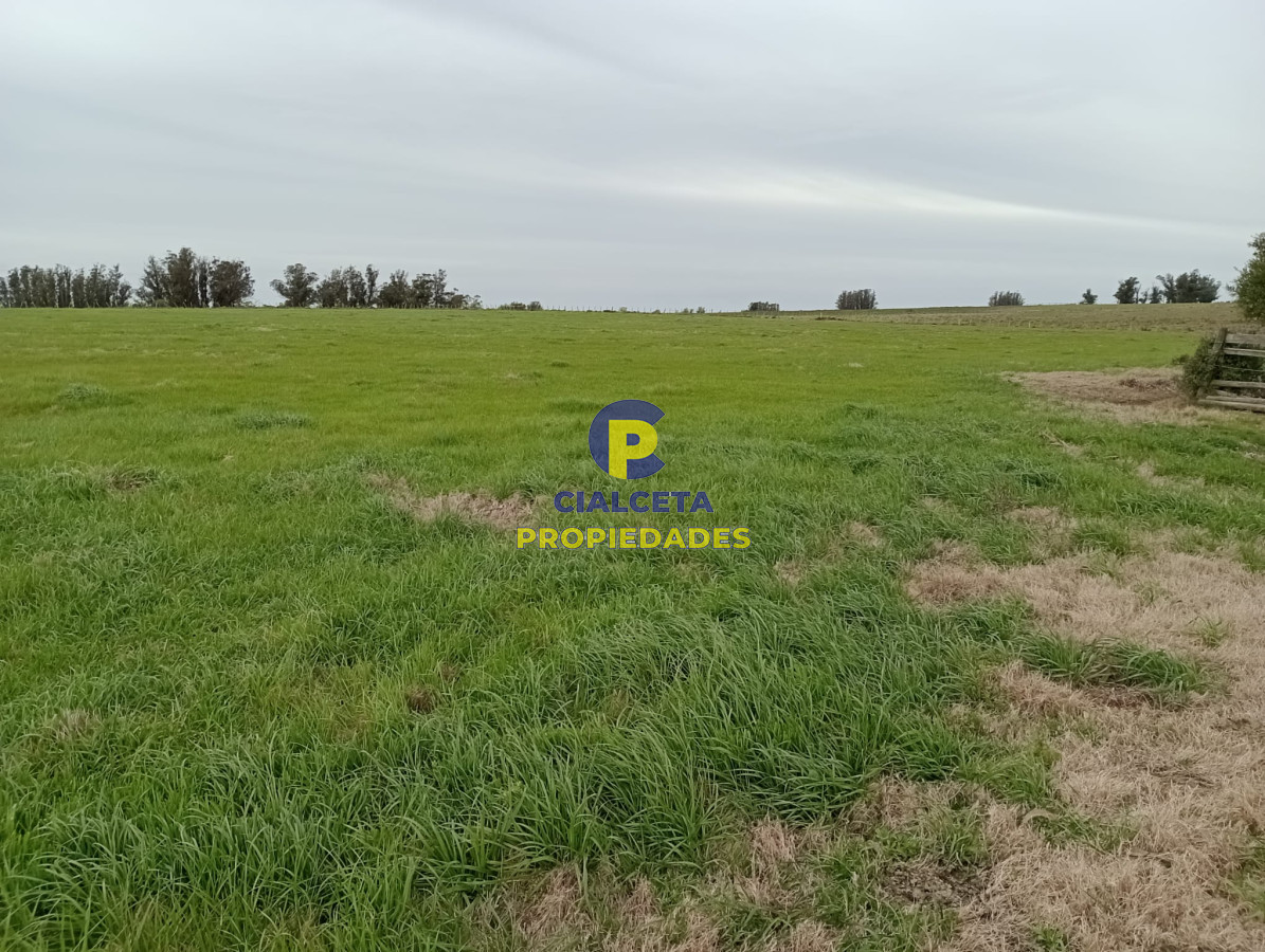 Campo Ref.293 - 15 hectáreas en Maldonado