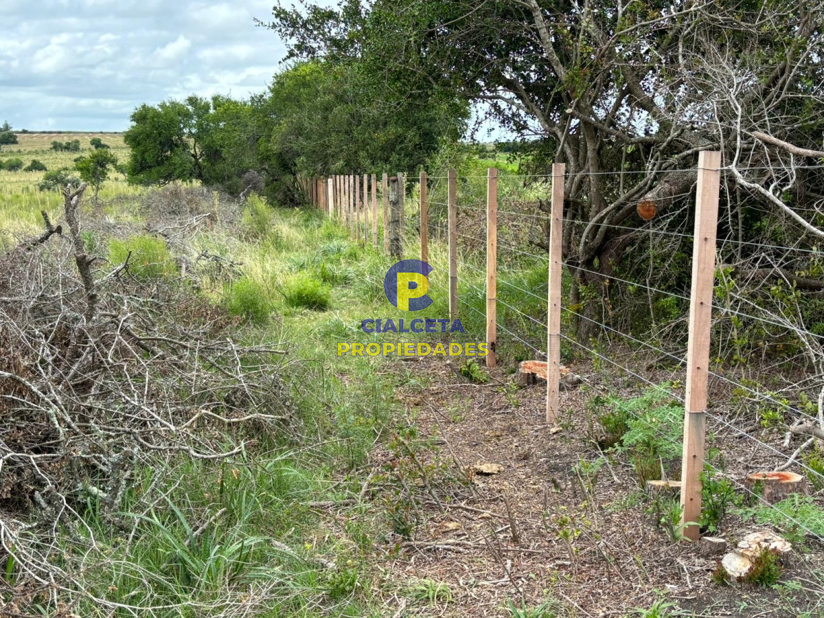 59 hectáreas en Canelones - GoPunta - Portal Inmobiliario de Punta del Este - Maldonado