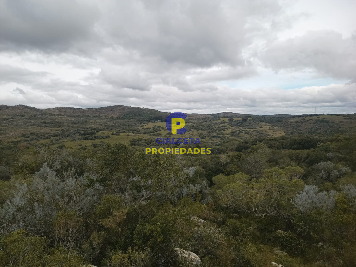 Campo Ref.440 - 38 hectáreas en Aiguá