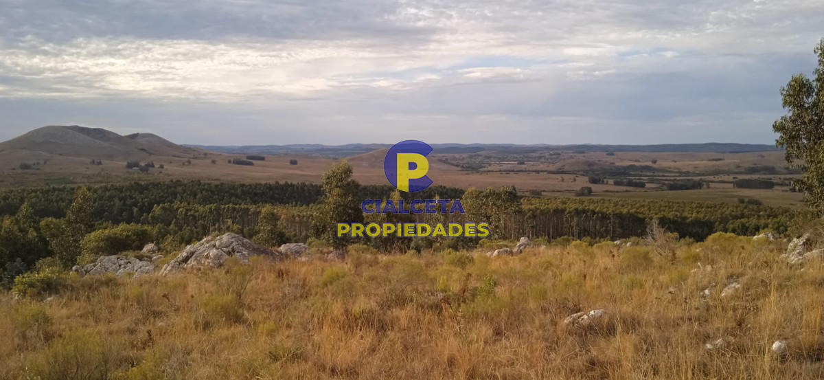 Campo Ref.50 - 5 hectáreas, entrega 8.000 U$S y cuotas de 593 U$S