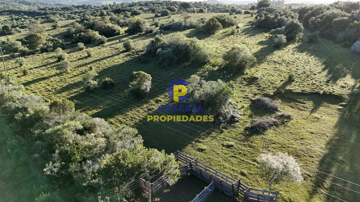 28 hectáreas con cañada y monte nativo, Maldonado - GoPunta - Portal Inmobiliario de Punta del Este - Maldonado