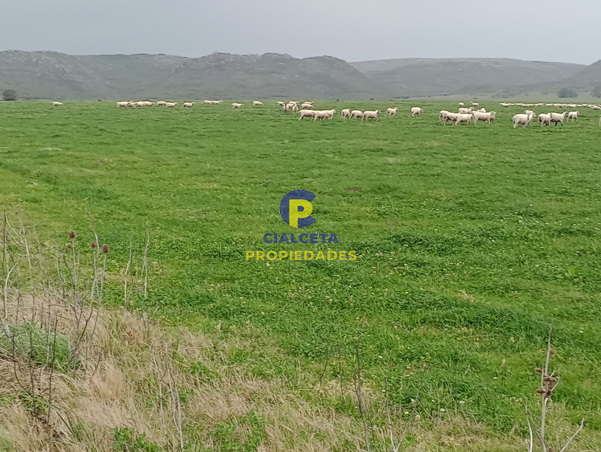 Campo Ref.505 - 110 hectáreas agrícolas ganaderas