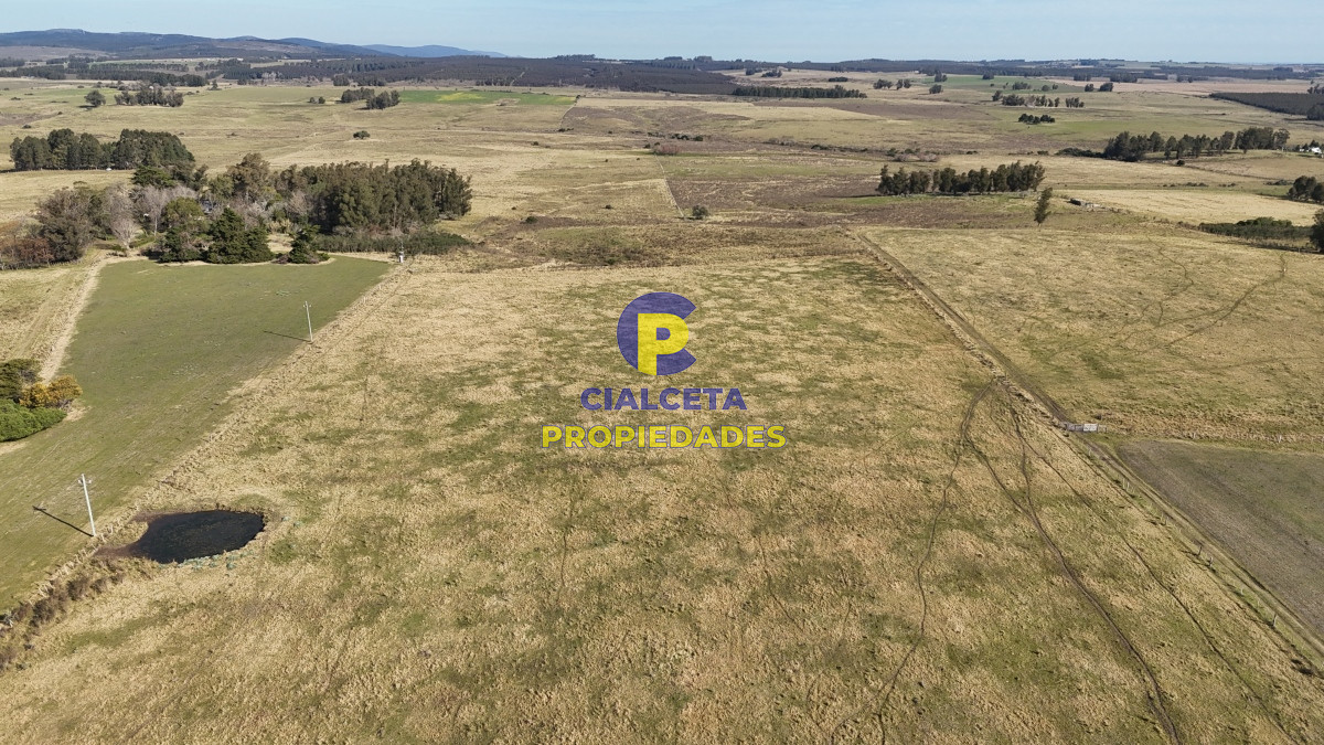 Campo Ref.497 - 40 hectáreas en Lavalleja a 10 km de Minas