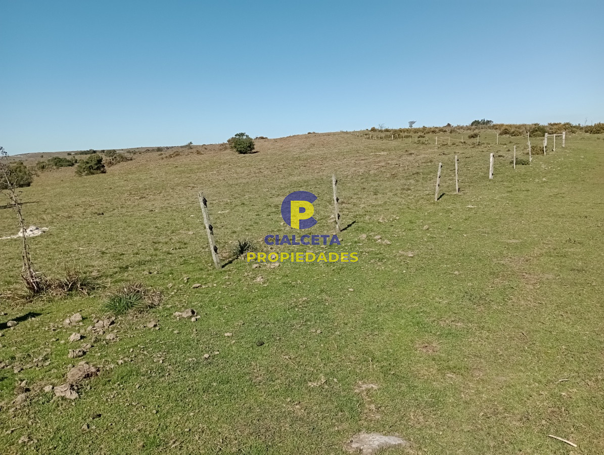 Campo Ref.135 - 2957 hectáreas en Cerro Largo