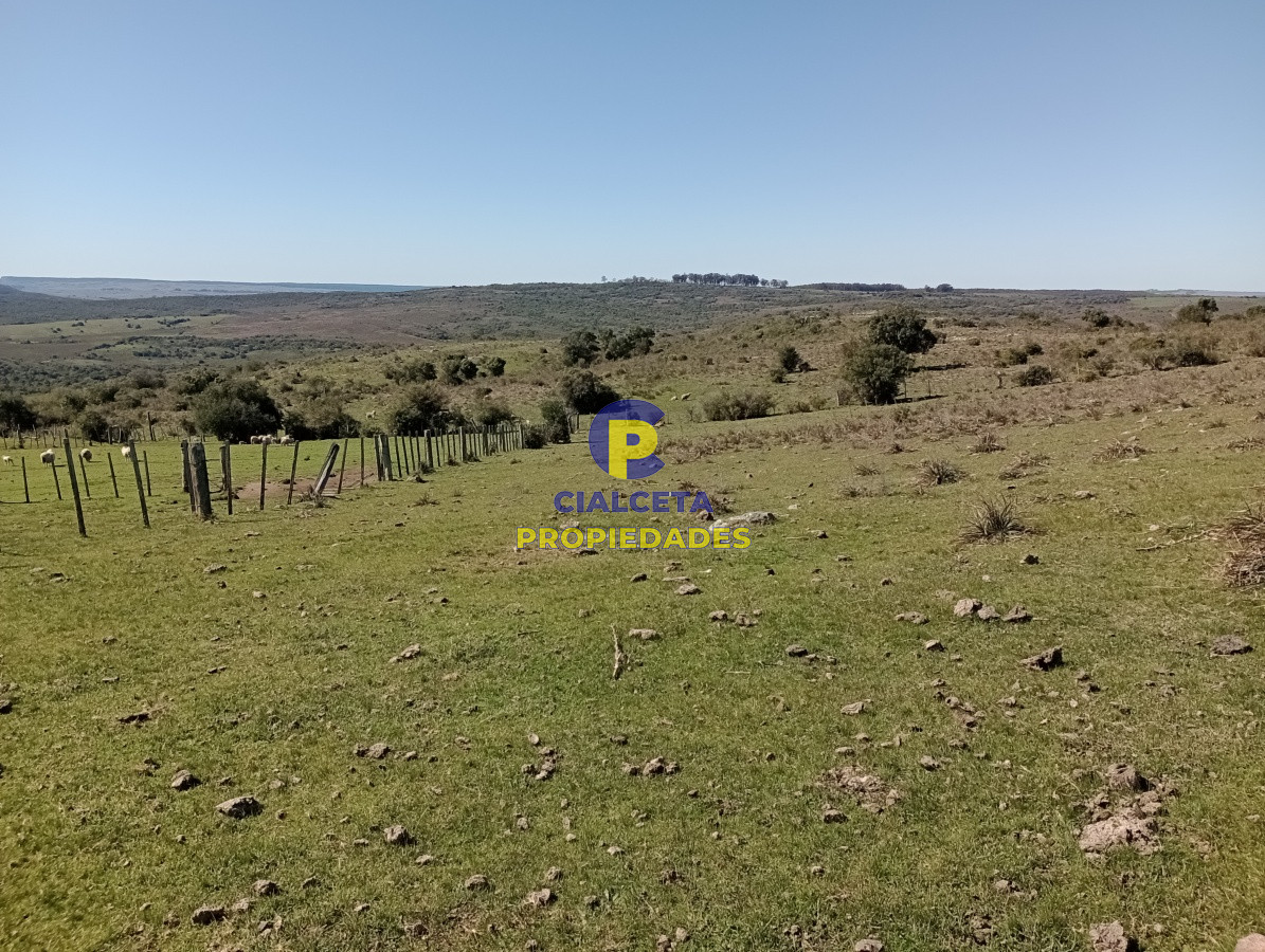 Campo Ref.136 - 811 hectáreas en Treinta y Tres