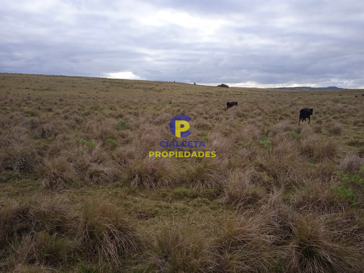 Campo Ref.122 - 60 hectáreas en Garzón