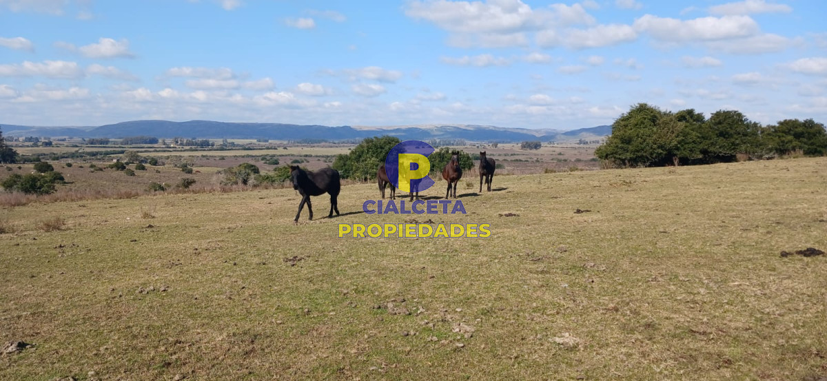 Campo Ref.475 - 386 hectáreas en Maldonado