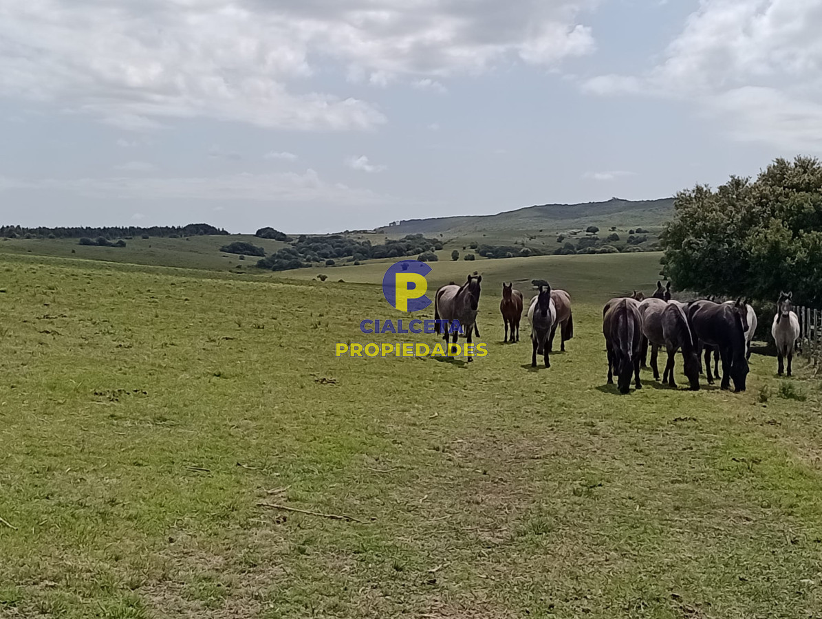 Campo Ref.315 - 28 hectáreas y media en Maldonado