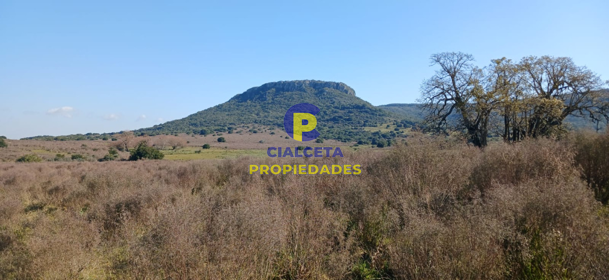 386 hectáreas en Maldonado - GoPunta - Portal Inmobiliario de Punta del Este - Maldonado