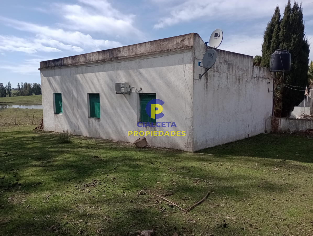 Campo Ref.295 - 22 hectáreas en lavalleja