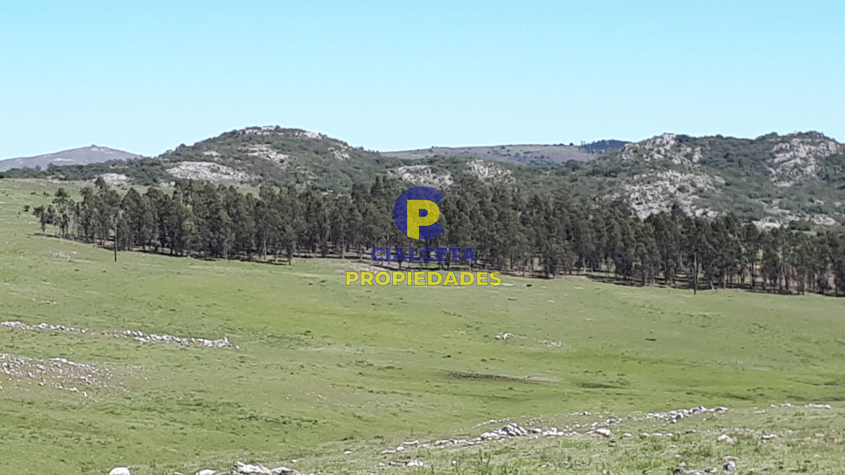Campo Ref.322 - 100 hectáreas en Lavalleja