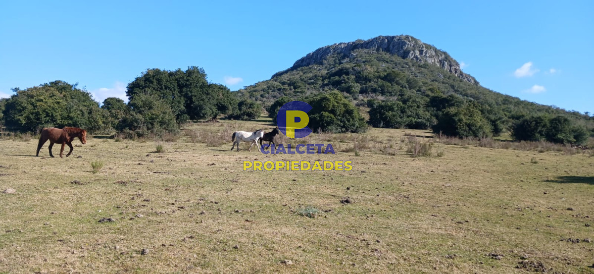 Campo Ref.475 - 386 hectáreas en Maldonado