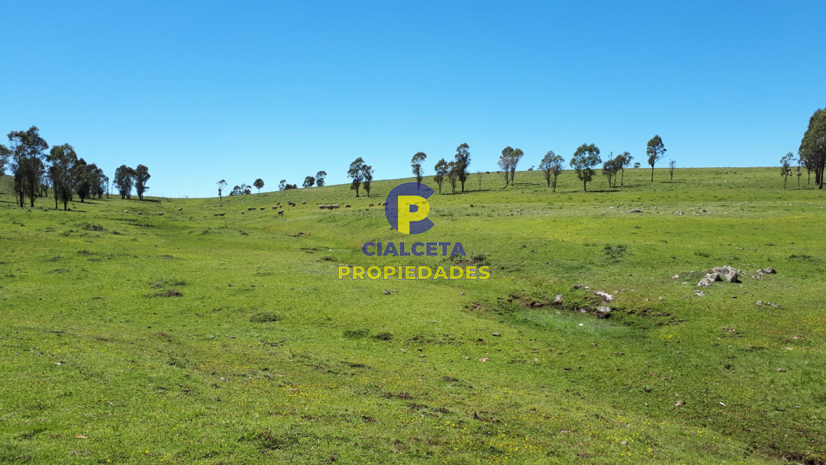 Campo Ref.325 - 298 hectáreas en Lavalleja