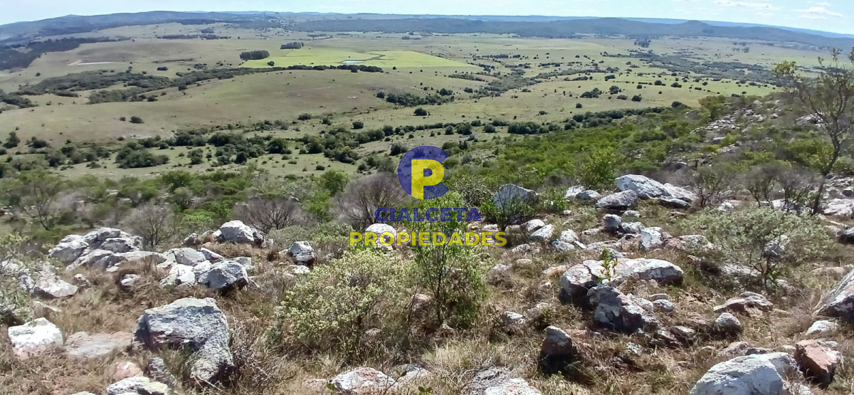 Campo Ref.541 - 268 hectáreas en Lavalleja,turístico