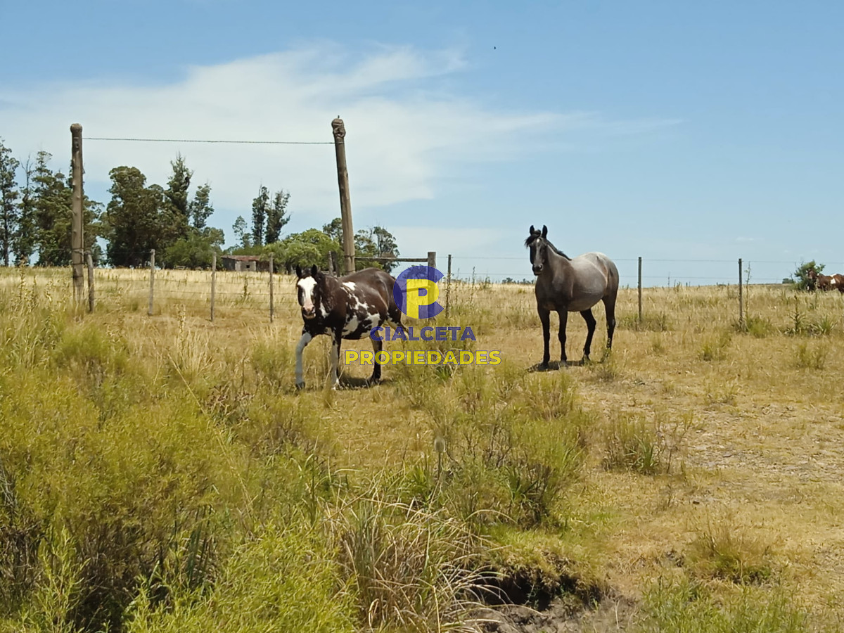 Campo Ref.273 - 23 hectáreas en Lavalleja con arroyo