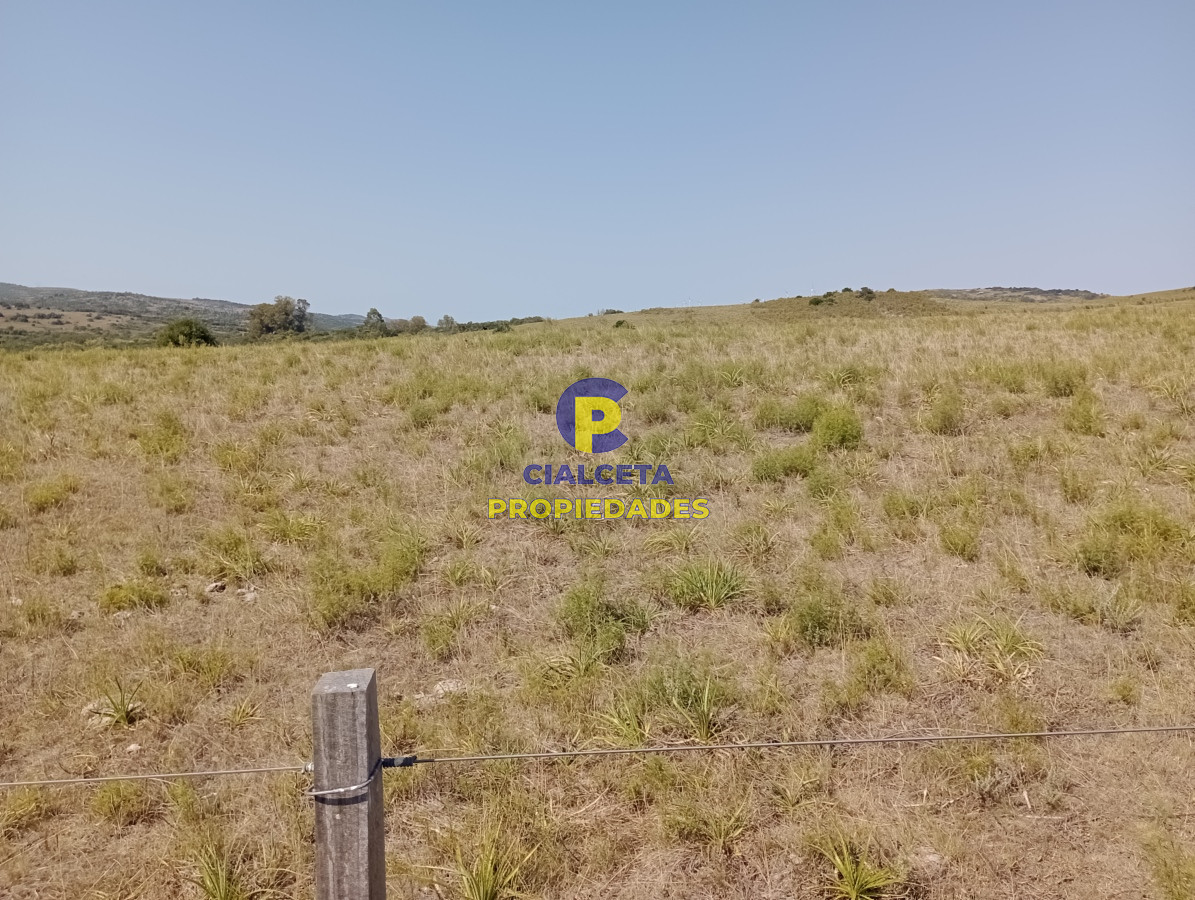 Campo Ref.421 - 86 hectáreas en Maldonado con linda vista