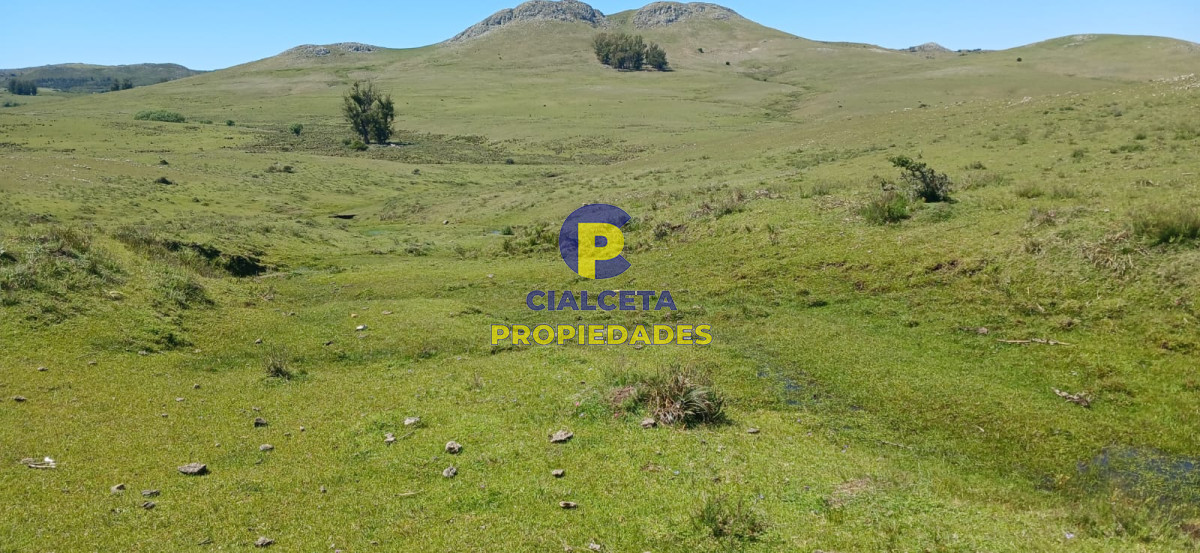 Campo Ref.324 - 215 hectáreas en Lavalleja