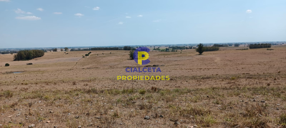 Campo Ref.69 - 180 hectáreas en Lavalleja