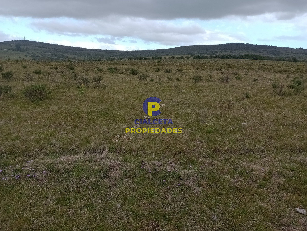 Campo Ref.113 - 5 hectáreas en Maldonado, Pueblo Edén