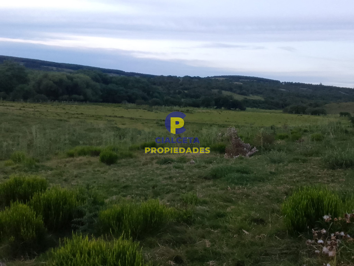 Campo Ref.89 - 330 hectáreas en Lavalleja