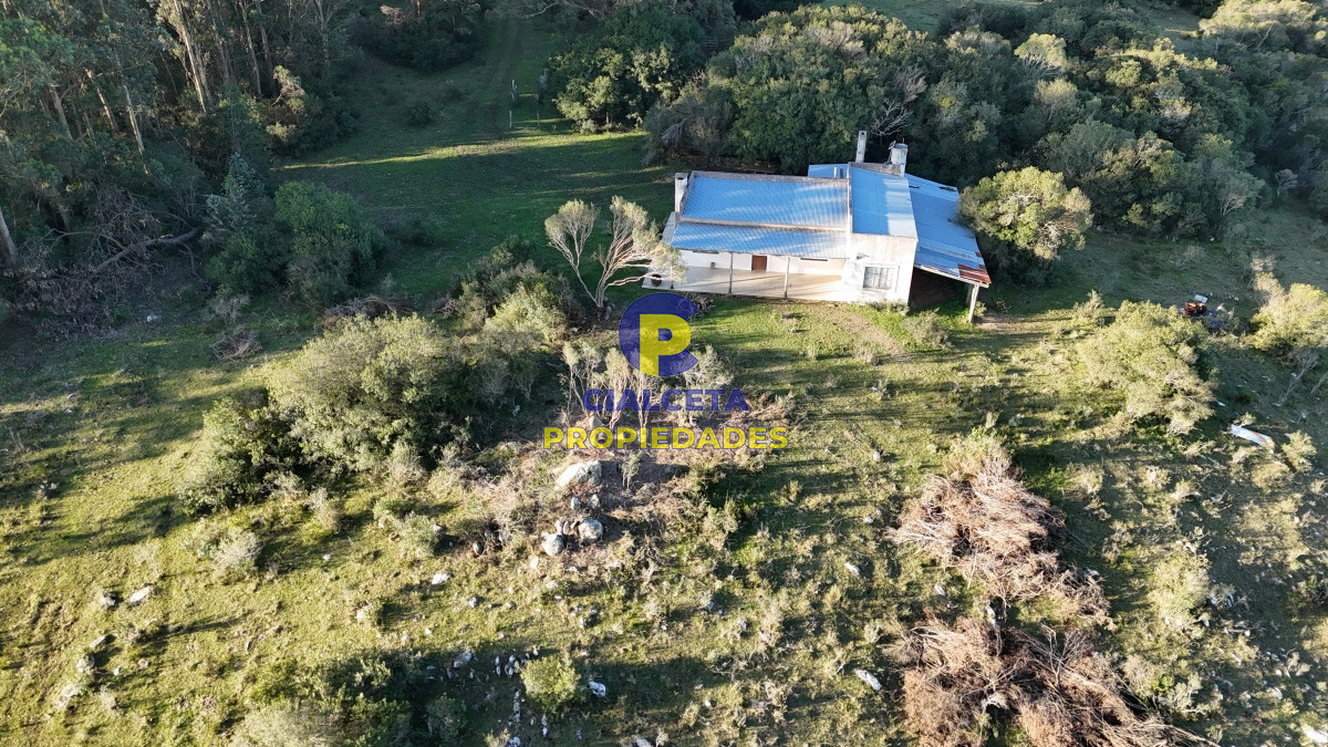 Campo Ref.526 - 60 hectáreas con casa , monte nativo, hermoso lugar