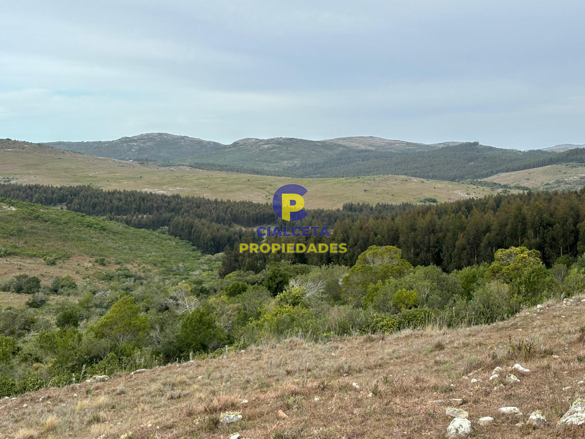 Campo Ref.441 - 200 hectáreas con muy buena vista