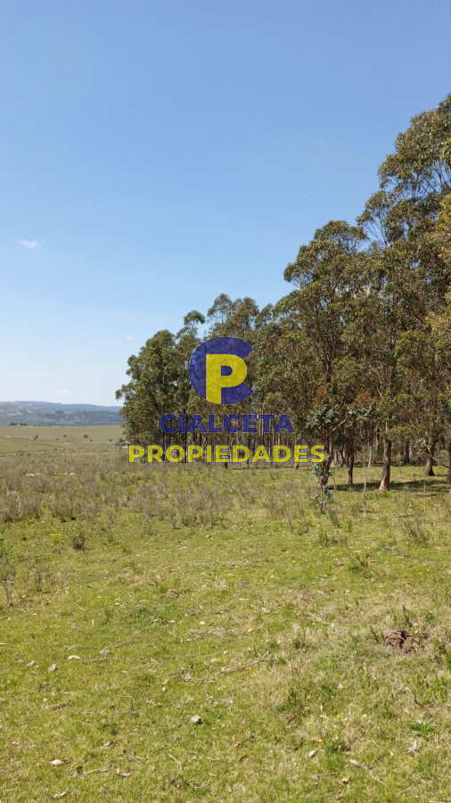 Campo Ref.128 - 31 hectáreas en Maldonado