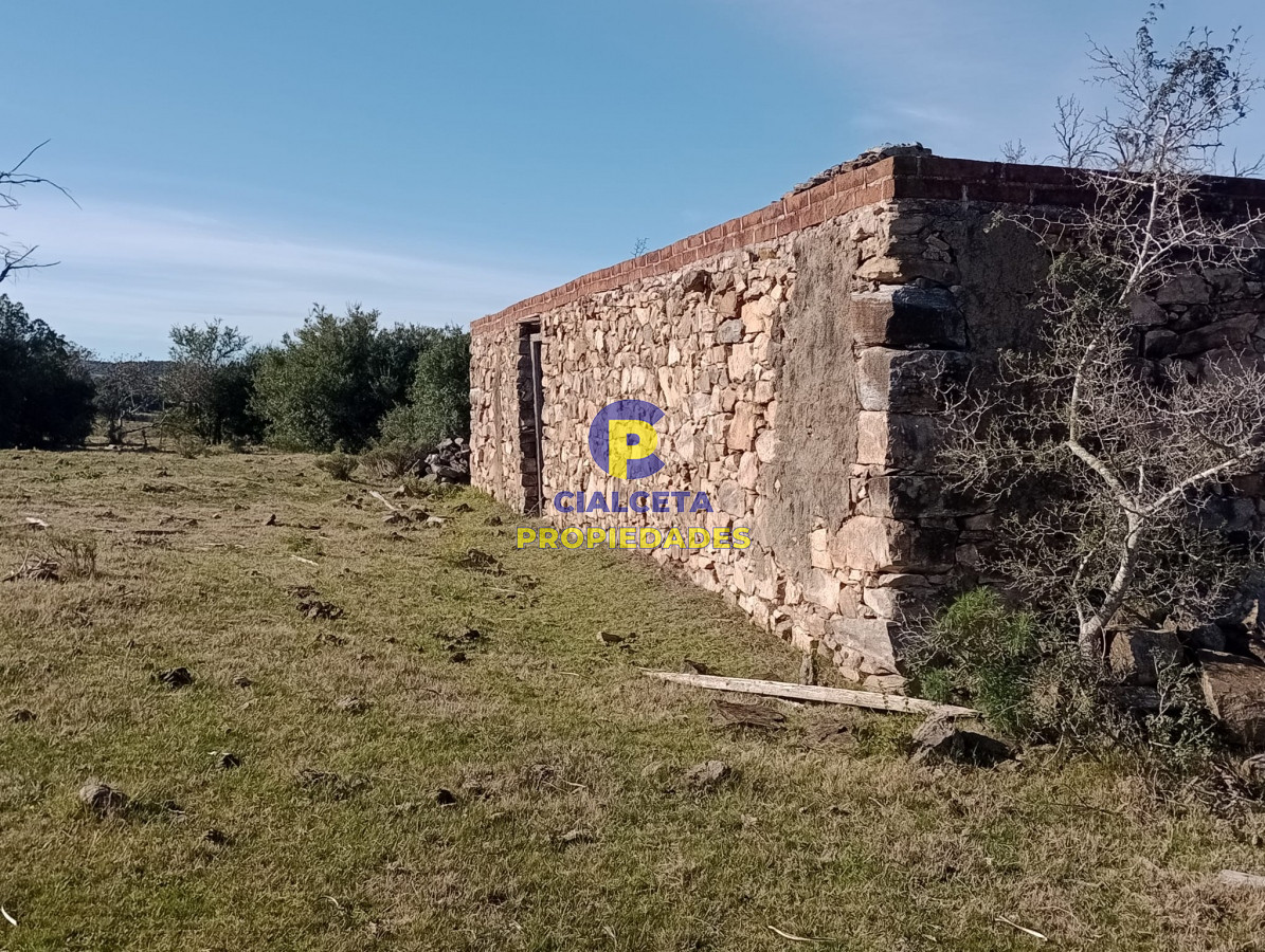 Campo Ref.298 - 82 hectáreas en Pueblo Edén