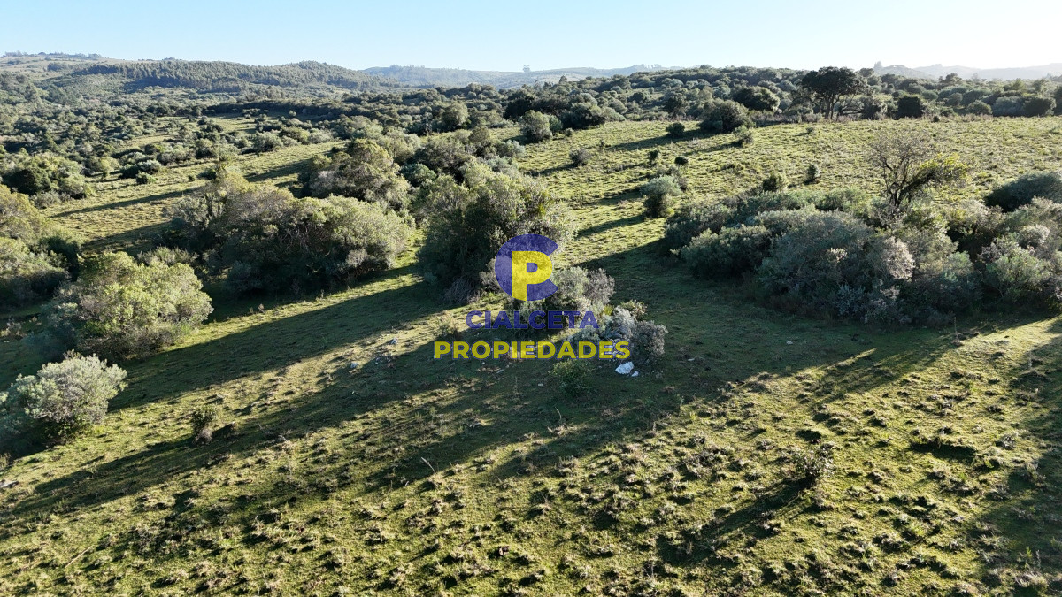 28 hectáreas con cañada y monte nativo, Maldonado - GoPunta - Portal Inmobiliario de Punta del Este - Maldonado