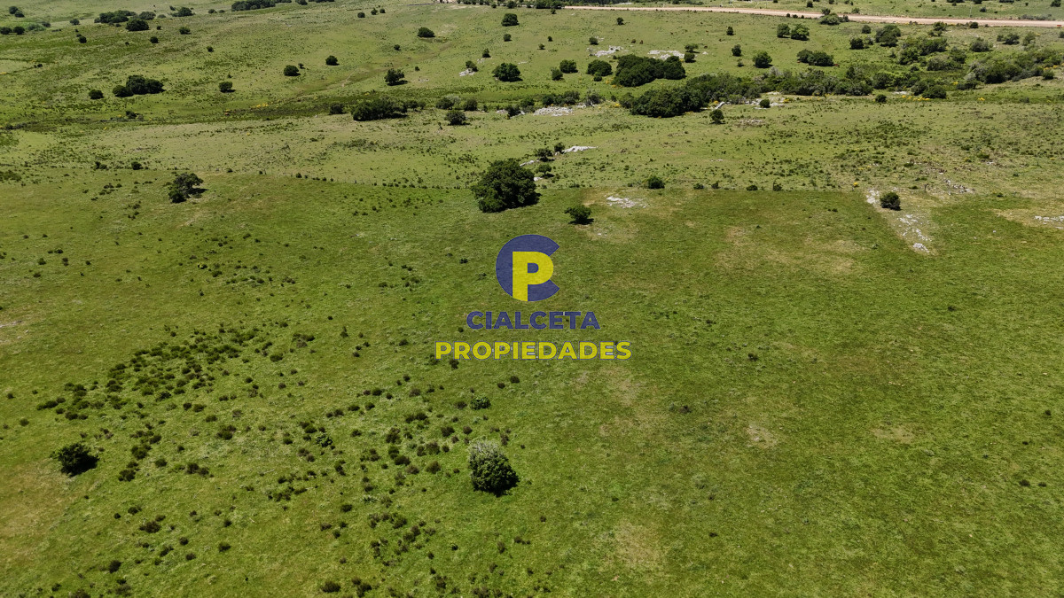109 hectáreas en Maldonado - GoPunta - Portal Inmobiliario de Punta del Este - Maldonado