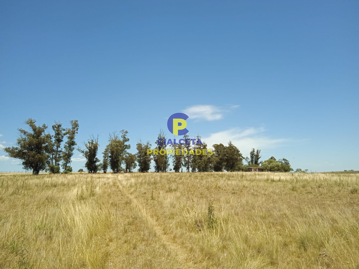 Campo Ref.273 - 23 hectáreas en Lavalleja con arroyo