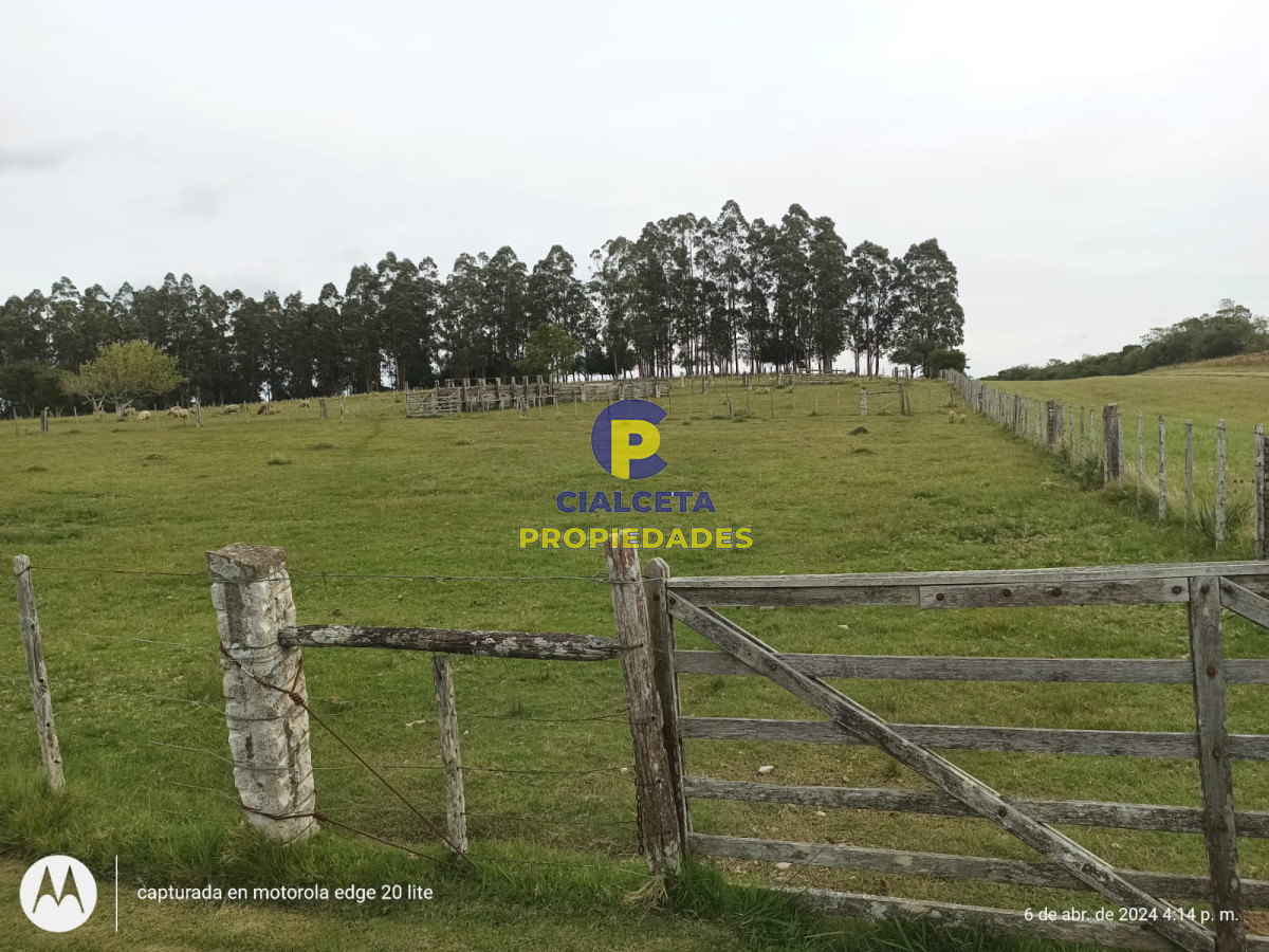 Campo Ref.411 - 48 hectáreas con muy buna casa, bien ubicado