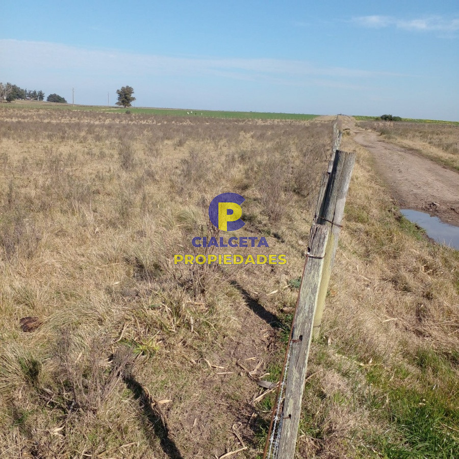 Campo Ref.97 - 130 hectáreas en Canelones