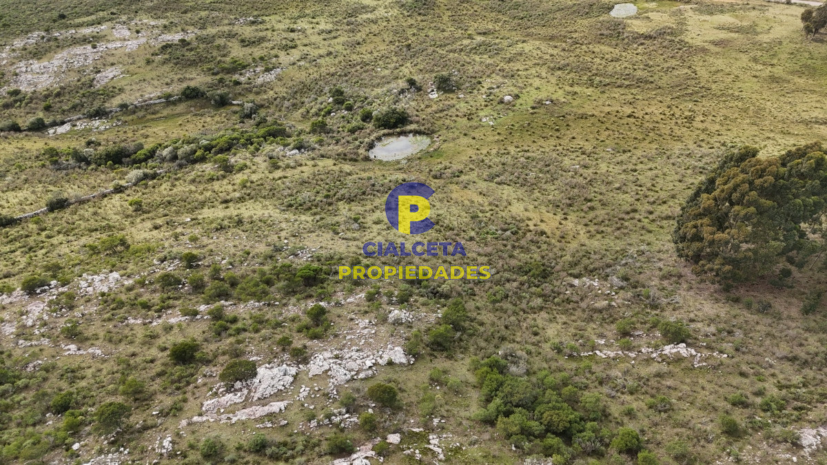 Campo Ref.508 - 31 hectáreas con casa , cerro y buen acceso