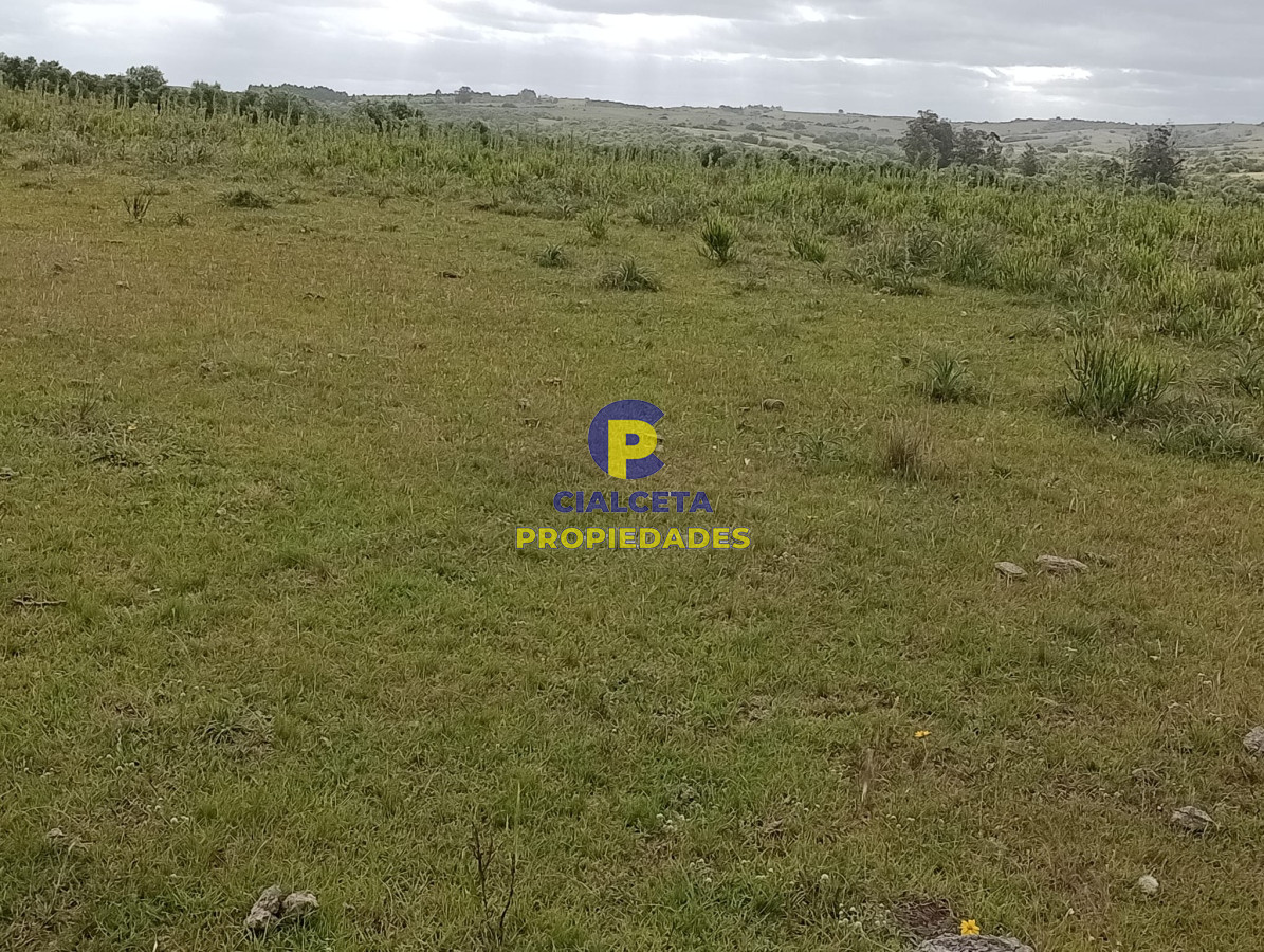 Campo Ref.358 - 198 hectáreas en Garzón