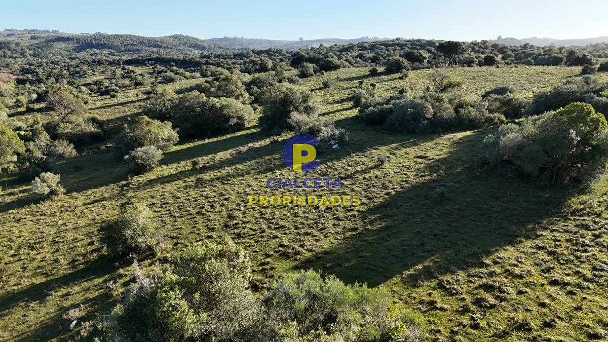 28 hectáreas con cañada y monte nativo, Maldonado - GoPunta - Portal Inmobiliario de Punta del Este - Maldonado