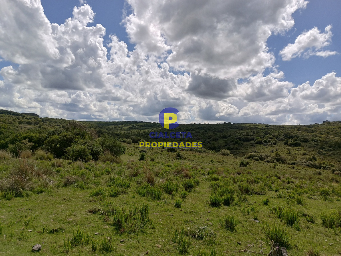 Campo Ref.102 - 98 hectáreas en Maldonado