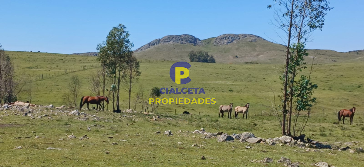 Campo Ref.324 - 215 hectáreas en Lavalleja