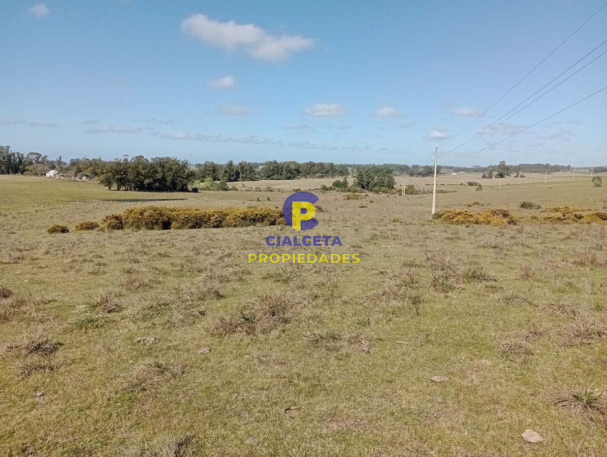 Campo Ref.98 - 125 hectáreas en Rocha
