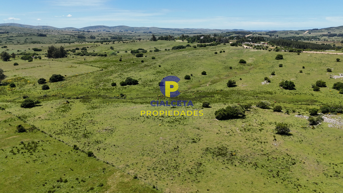 109 hectáreas en Maldonado - GoPunta - Portal Inmobiliario de Punta del Este - Maldonado